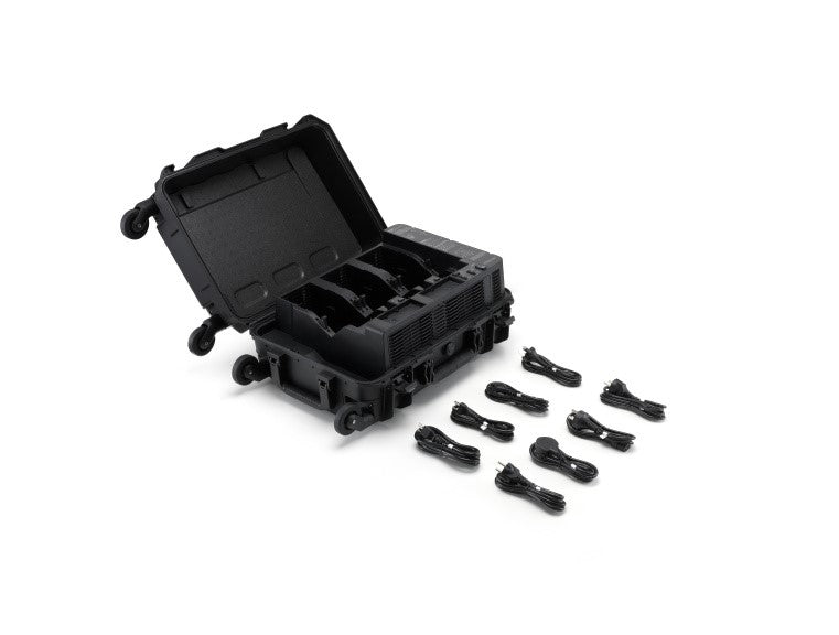 BS100 Intelligent Battery Station